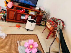 Cho Thuê Oxy Quận 10 -Quận 11 -Quận 6 -Quận 8 -Bình Chánh