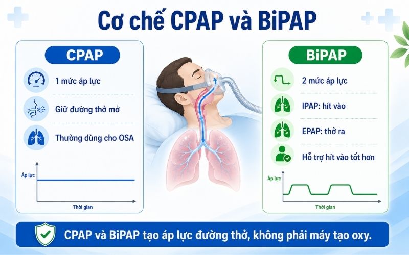 CPAP va BiPAP co phai may tao oxy khong