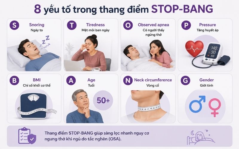 STOP BANG la viet tat cua nhung gi