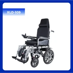 Xe Lan Dien Cao Cap XLD 109 1