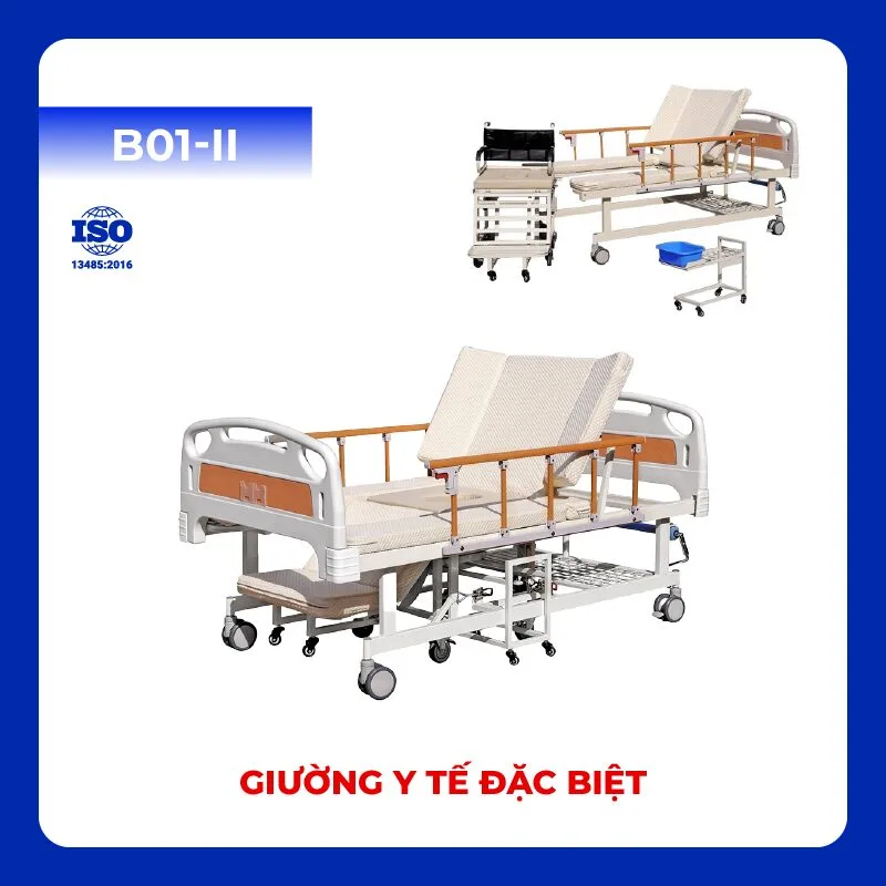Cửa Hàng Giường Y Tế TPHCM (Lắp Đặt Miễn Phí Trong Ngày) Giuong dien dac biet B01 II